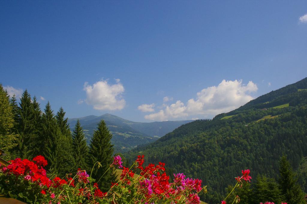 Gaestehaus Berger - Priglhof Treffen am Ossiacher See Pokój zdjęcie